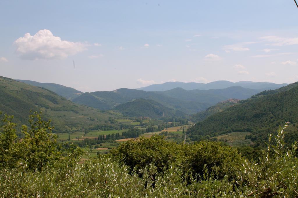 Runcini Ferentillo